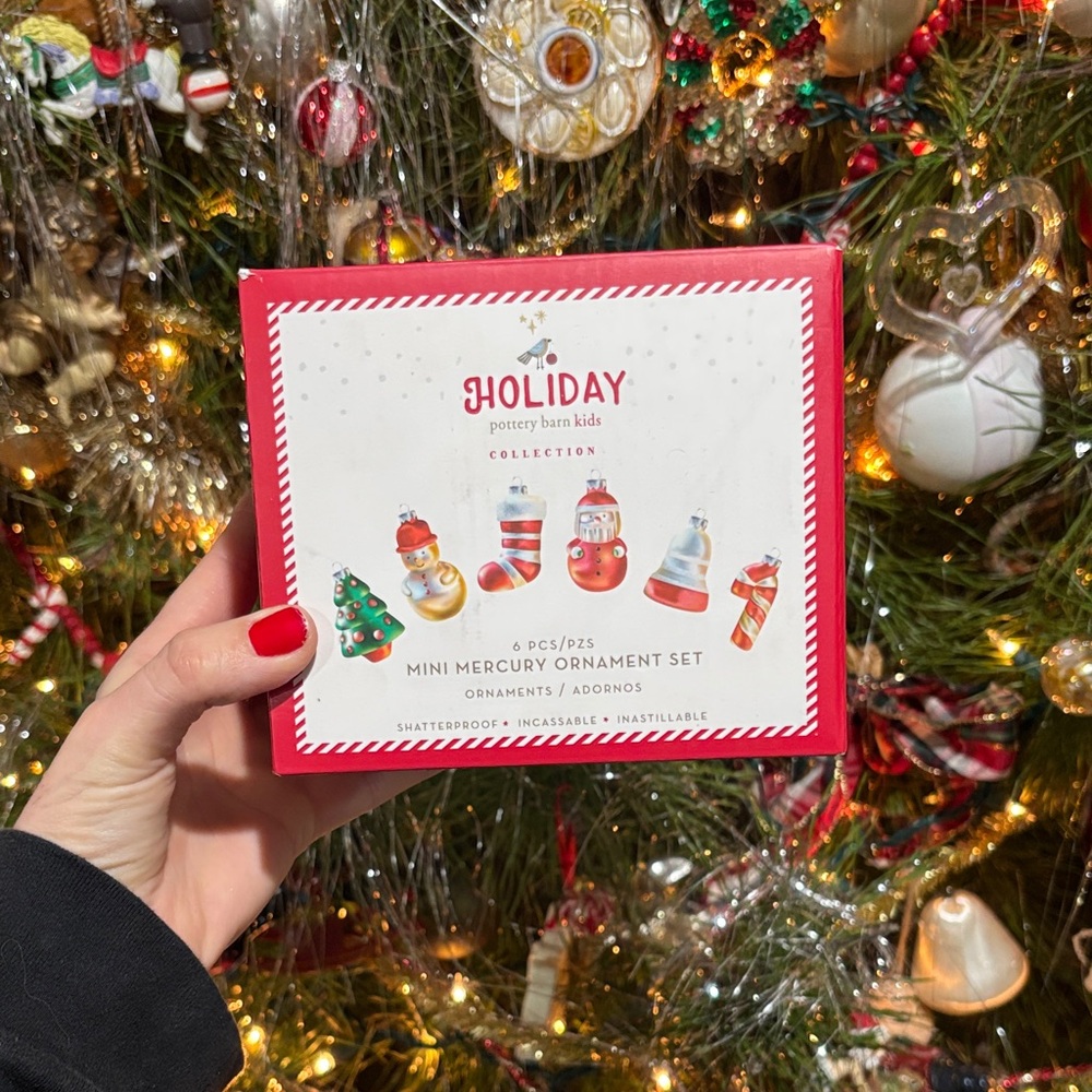 Pottery Barn Kids shatterproof mini mercury Ornament Set